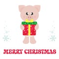 Winter cartoon pig with ÃÂhristmas gift and christmas text